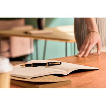 Parker Meridian juodas GT plunksnakotis (F) – 2231392