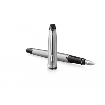 Waterman Expert Steel CT Plunksnakotis - S0952060