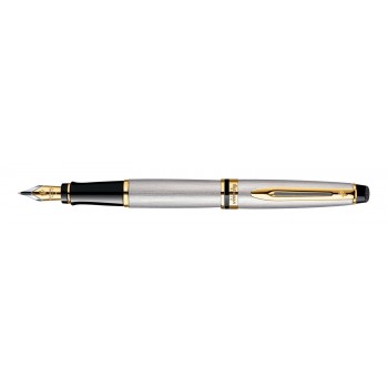 Waterman Expert Steel GT Plunksnakotis - S0951940