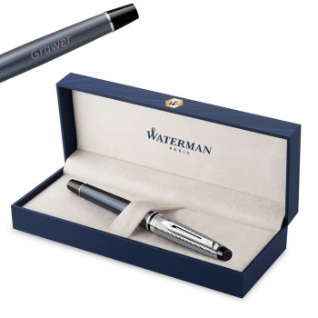 Waterman Expert Deluxe Metallic Graphite CT tušinukas su dangteliu - 2187690 su graviravimu