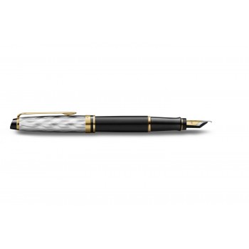 Waterman Expert Reflets De Paris Plunksnakotis su graviravimu
