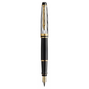 Waterman Expert Reflets De Paris Plunksnakotis su graviravimu